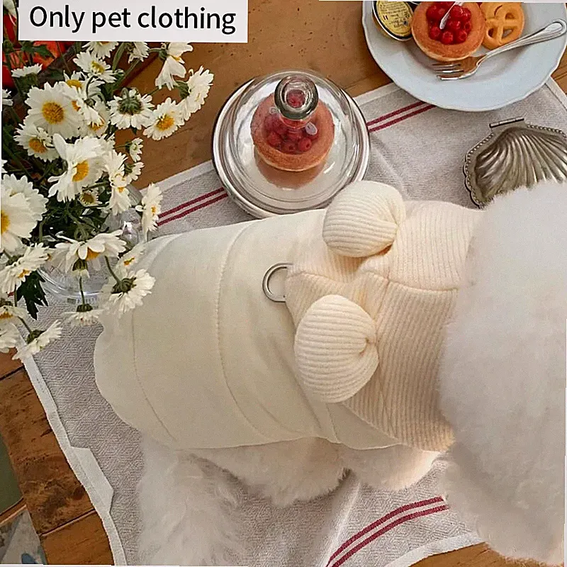 Hund Jacke Winter Daunenjacke Teddy Kapuzenmantel Komfortkleidung